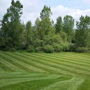 Meet your Posher, Baltazar